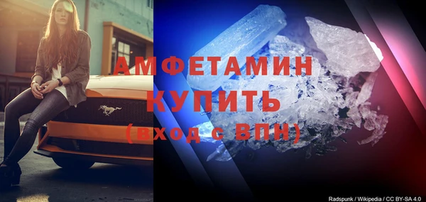 амф Горняк