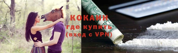 амф Горняк
