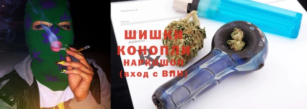 амф Горняк