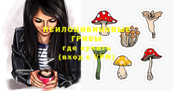 соль курить ск Горнозаводск