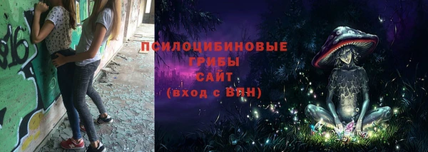 амф Горно-Алтайск