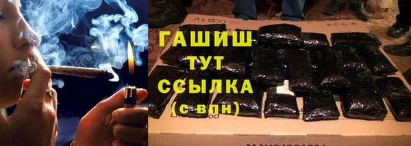 амф Горняк