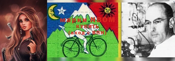 амф Горняк