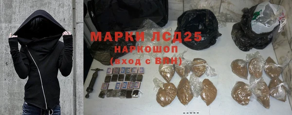 амф Горняк