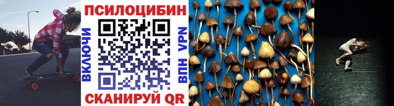 Псилоцибиновые грибы мицелий  цены   кракен ссылки  Петровск-Забайкальский 